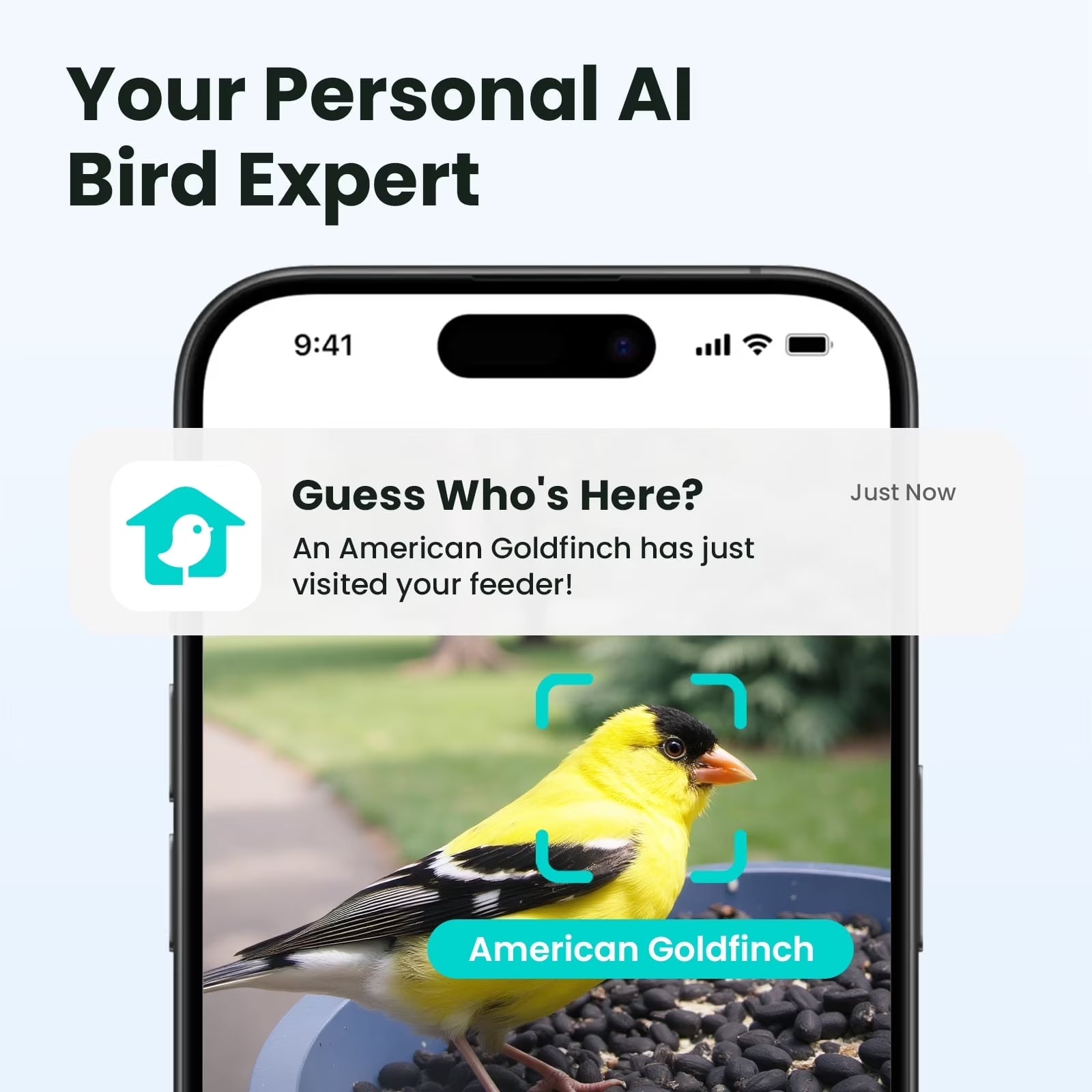 Smart Bird Feeder with Integrated Camera, 60FPS Video Quality, AI Bird Identification, Instant Notifications, and Automatic Capture – Ideal Gift for Avian Enthusiasts