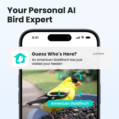 Smart Bird Feeder with Integrated Camera, 60FPS Video Quality, AI Bird Identification, Instant Notifications, and Automatic Capture – Ideal Gift for Avian Enthusiasts