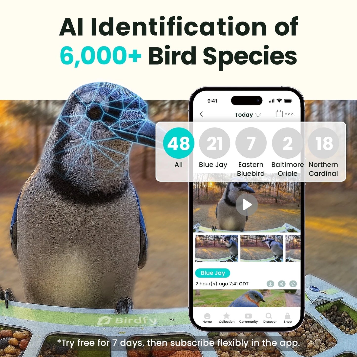 Intelligent Bird Feeder with Integrated Camera, AI Bird Recognition, Automated Notifications, Complimentary App, Durable Metal Construction – Accommodates up to 2.5L of Bird Seed, Perfect Gift for Bird Enthusiasts