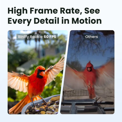 Smart Bird Feeder with Integrated Camera, 60FPS Video Quality, AI Bird Identification, Instant Notifications, and Automatic Capture – Ideal Gift for Avian Enthusiasts