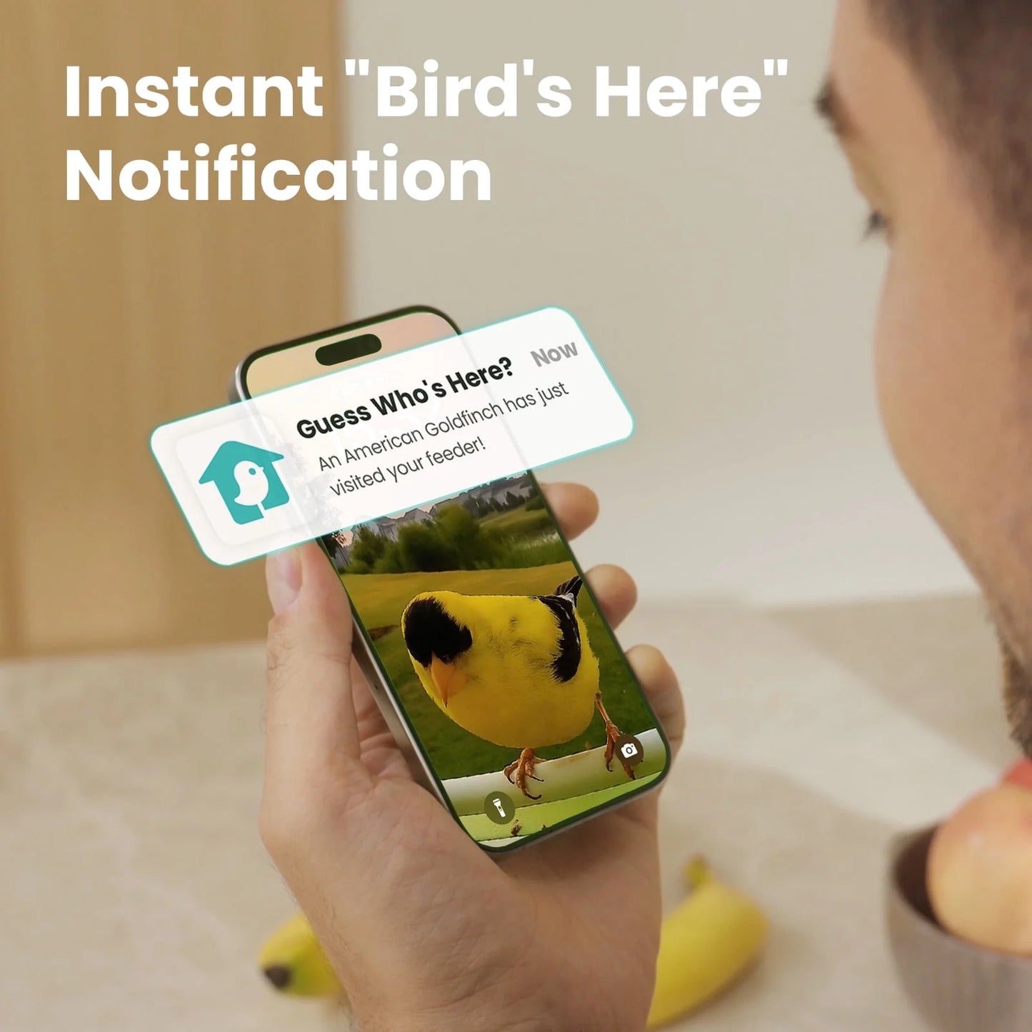 Intelligent Bird Feeder with Integrated Camera, AI Bird Recognition, Automated Notifications, Complimentary App, Durable Metal Construction – Accommodates up to 2.5L of Bird Seed, Perfect Gift for Bird Enthusiasts